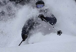 Sašimi z jednorožce / Unicorn Sashimi