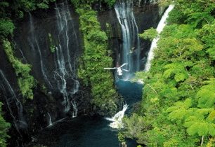 Expedice Réunion: „zpět ke kořenům“