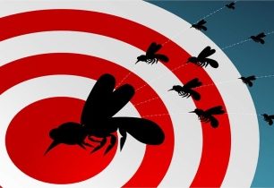 Přírodní repelenty a past na komáry + VIDEO