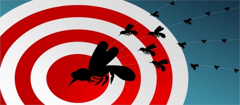 Přírodní repelenty a past na komáry + VIDEO