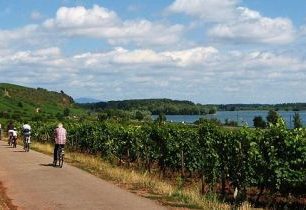 Rýnská cyklostezka – pohoda, historie a víno