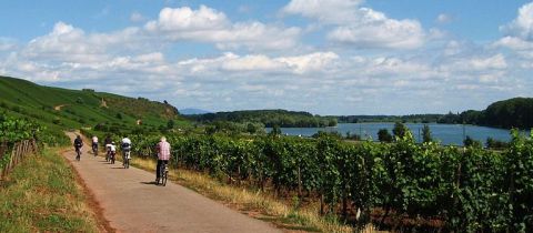 Rýnská cyklostezka – pohoda, historie a víno