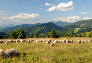 Nízkotatranskými loukami na Ďurkovou