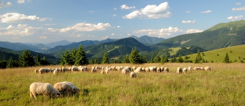 Nízkotatranskými loukami na Ďurkovou