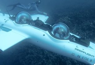 Potápění za životem v oceánu + VIDEO