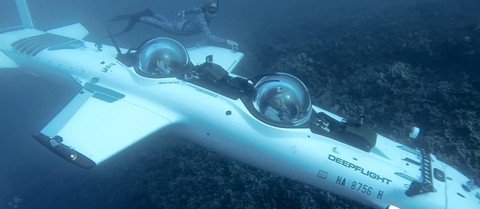 Potápění za životem v oceánu + VIDEO