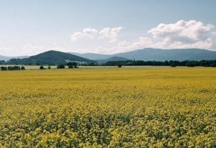 Přes Boží vrch na Venušiny misky