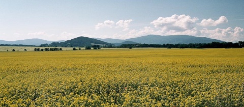 Přes Boží vrch na Venušiny misky