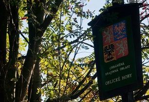 Vrchmezí - nejsevernější tisícovka Orlických hor!