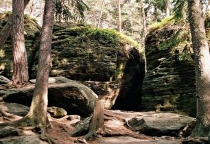 Přírodní rezervace Toulcovy maštale na Vysočině