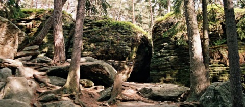 Přírodní rezervace Toulcovy maštale na Vysočině