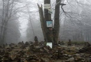 Vrchol Tanečnice nedaleko Pusteven v Moravskoslezských Beskydech