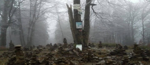 Vrchol Tanečnice nedaleko Pusteven v Moravskoslezských Beskydech
