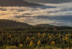 Dušanova skalní vyhlídka 