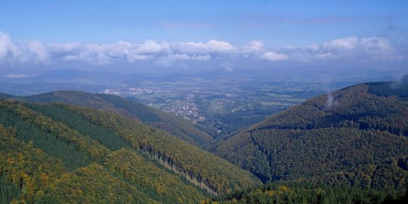 Domácí hřebenovky &#8211; napříč českými pohořími