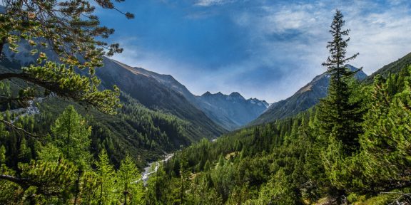 Švýcarský národní park – přírodní unikát