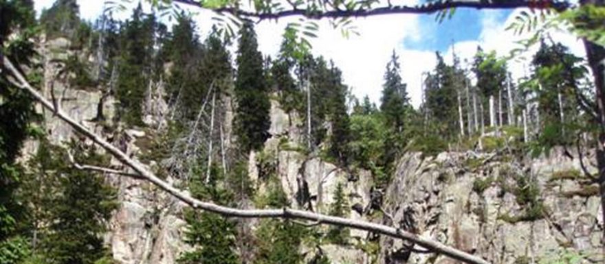 Harrachova cesta Labským dolem