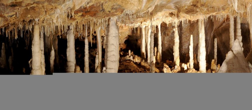 Javoříčské jeskyně – království krápníkové výzdoby