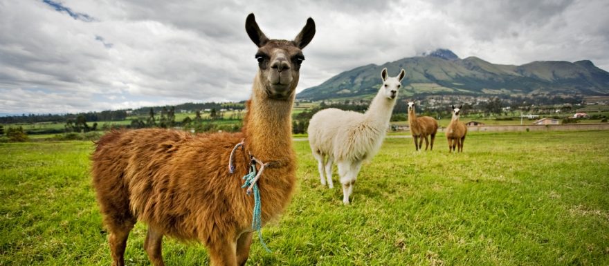 NE 17:30 - 19:00 (sál praktických workshopů) Latinská Amerika: moderovaná diskuse