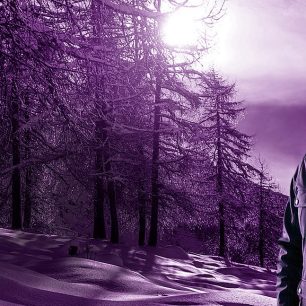 A dárky máte vyřešeny! Vyhrajte 5×1000Kč poukaz na zboží LOAP! – UKONČENO