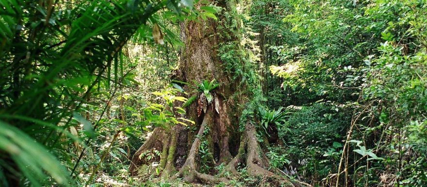 Queensland: severovýchod Austrálie je ráj pro trekaře