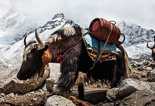 Soutěž o volňásky na Expedičku v AERU 18.2. UKONČENO