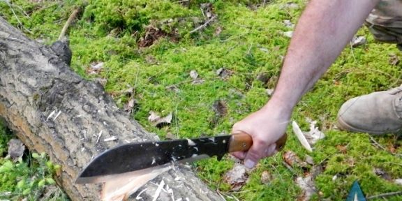 Orientuješ se v terénu? Umíš si postavit provizorní přístřeší a sehnat si jídlo? Projdi kurzem přežití!