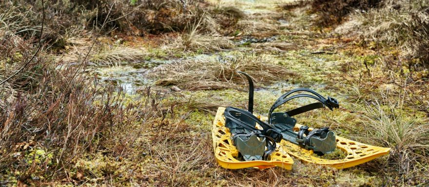 Bog walking, aneb jak lze v Estonsku využít sněžnice i po oblevě