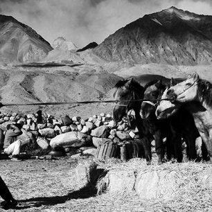 Pavel Svoboda: Ladakh černobíle