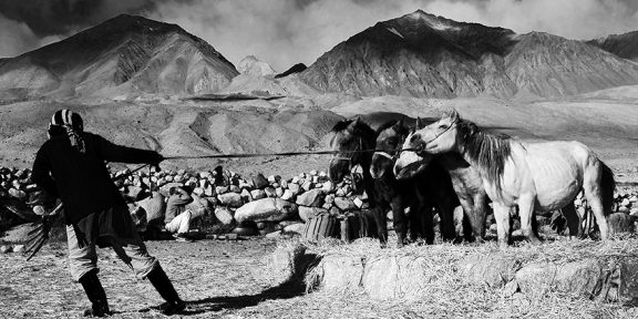 Pavel Svoboda: Ladakh černobíle