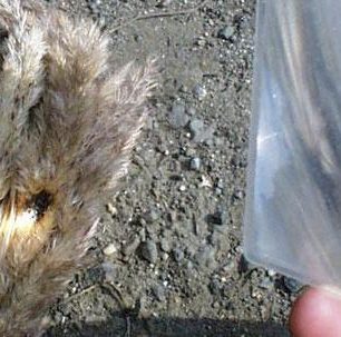 SO 17:30 - 19:00 (sál kreativních workshopů) Ladislav Sieger: Kurz zálesáka