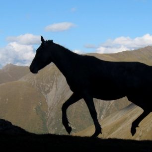NE 11:30 - 13:00 (expediční sál) Matěj Boháč: Kyrgyzstán ve stereografii