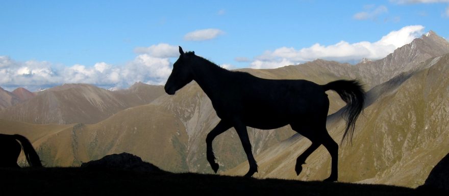 NE 11:30 - 13:00 (expediční sál) Matěj Boháč: Kyrgyzstán ve stereografii
