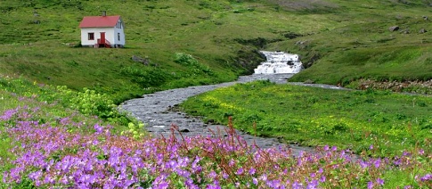 SO 13:30 - 15:30 (sál filmů a setkávání) Islandské odpoledne: Vše o Islandu v přednáškách i filmu. Vstup zdarma