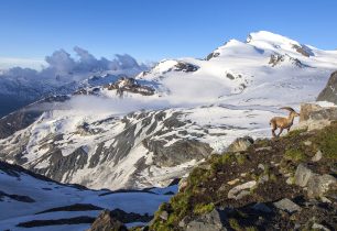 Alllalin Gletscher - šest kilometrů dlouhý ledovec ve středisku zimních sportů