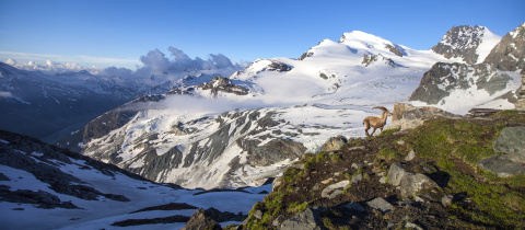 Alllalin Gletscher &#8211; šest kilometrů dlouhý ledovec ve středisku zimních sportů