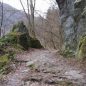 Trail Sázava: nový běžecký závod v přírodě nedaleko Prahy