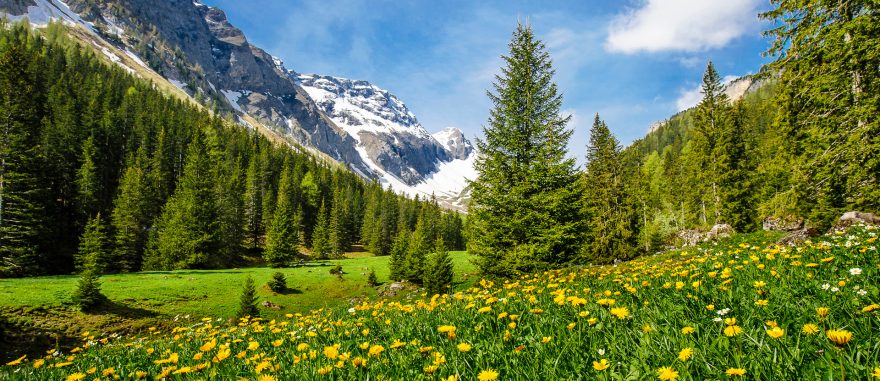 Alena Koukalová: Švýcarsko - 50 tajných tipů (Cestovatelský sál, NE 13:00 - 14:00)
