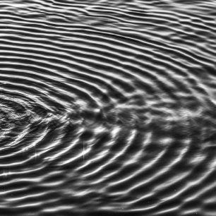 Vojtěch Vlk: Portrétní a dokumentární fotografie na cestách (Sál kreativních workshopů, SO 11:30 - 13:00)