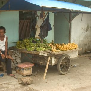 Prodavač banánů v Manadu (foto: Ondřej Cundr)