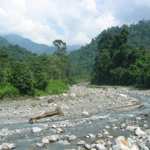 Pashaka – okolní tropický prales a krajina, řeka Basa v období sucha