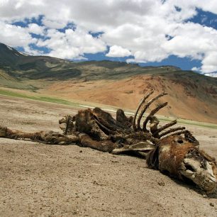 Ladakh je oblast srážkového stínu, voda je vzácná.