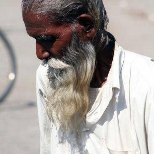 Elegán zo Šiliguri (Západní Bengálsko, Indie)