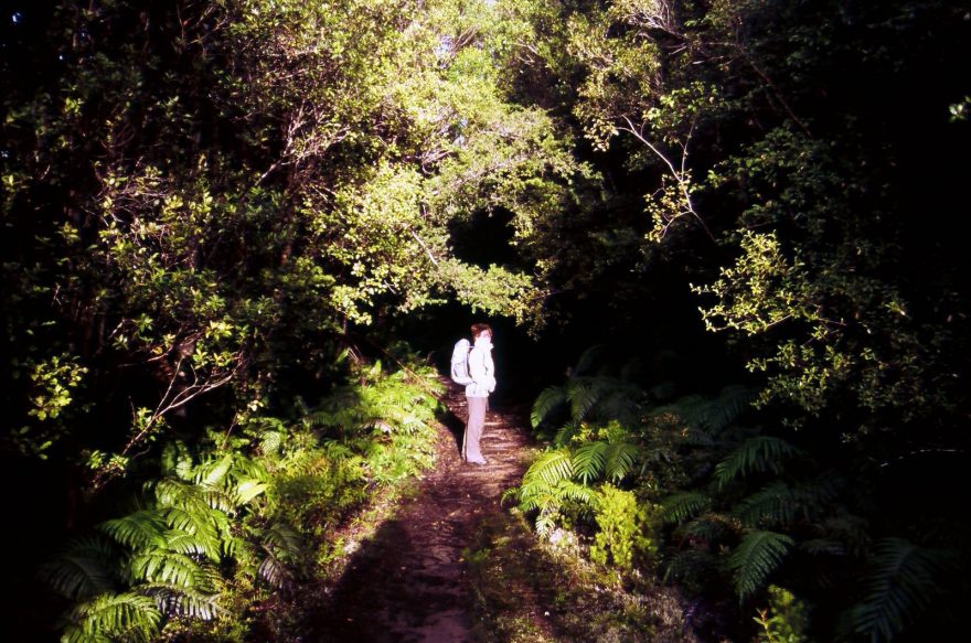 Na treku, který býval železnicí. Pražce se mnohde zachovaly dodnes, konzervovány v bahně