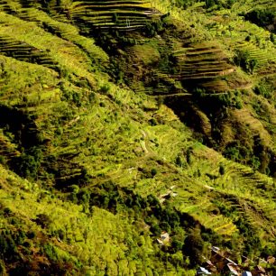 Zelene polia pod Chisapani