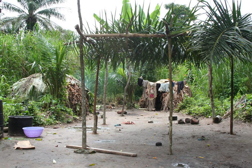 Obydlí pygmejů Bambuti