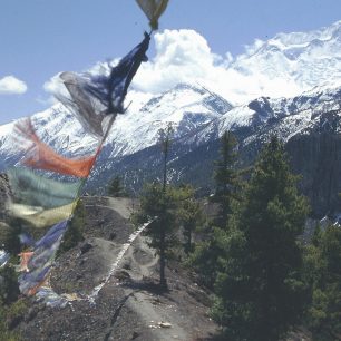 Annapurna II (7937 m) od Manangu