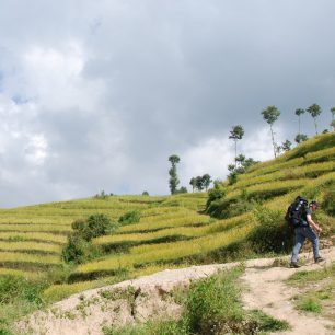 rýžová pole nad Káthmándú