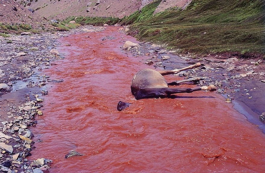 Mrtvá mula v řece