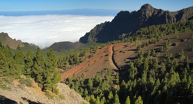 Treking na Kanárských ostrovech